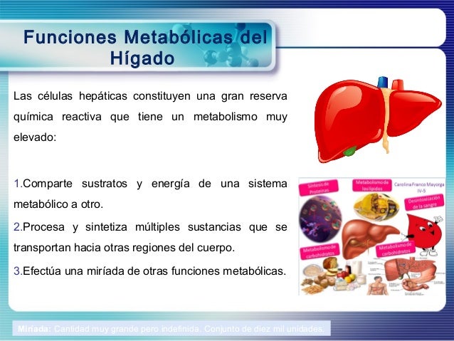 metabolismo de los lipidos resumen son un problema serius?