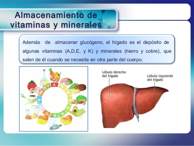 Funciones del higado Funciones del higado