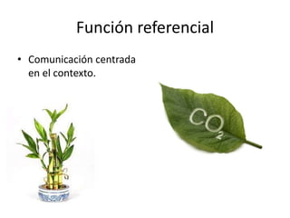 Función referencial
• Comunicación centrada
  en el contexto.
 