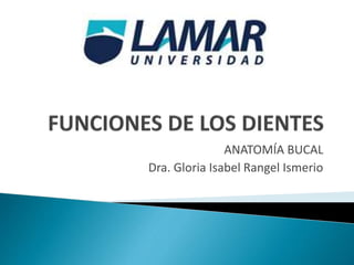 ANATOMÍA BUCAL
Dra. Gloria Isabel Rangel Ismerio
 