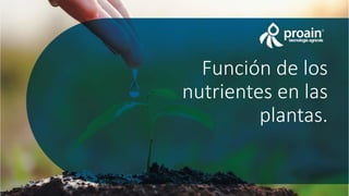 Función de los
nutrientes en las
plantas.
 