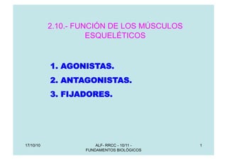 ALF- RRCC - 10/11 -
FUNDAMENTOS BIOLÓGICOS
1
2.10.- FUNCIÓN DE LOS MÚSCULOS
ESQUELÉTICOS
1.  AGONISTAS.
2.  ANTAGONISTAS.
3.  FIJADORES.
17/10/10
 