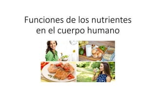 Funciones de los nutrientes
en el cuerpo humano
 