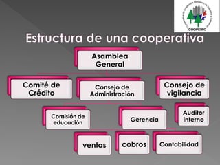 Funciones de los organos de direccion de una cooperativa (1).ppt