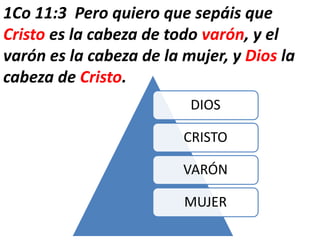 DIOS
CRISTO
VARÓN
MUJER
1Co 11:3 Pero quiero que sepáis que
Cristo es la cabeza de todo varón, y el
varón es la cabeza de la mujer, y Dios la
cabeza de Cristo.
 