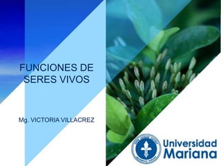 Unidad 5: Clasificación de los seres vivos Santillana
FUNCIONES DE
SERES VIVOS
Mg. VICTORIA VILLACREZ
 