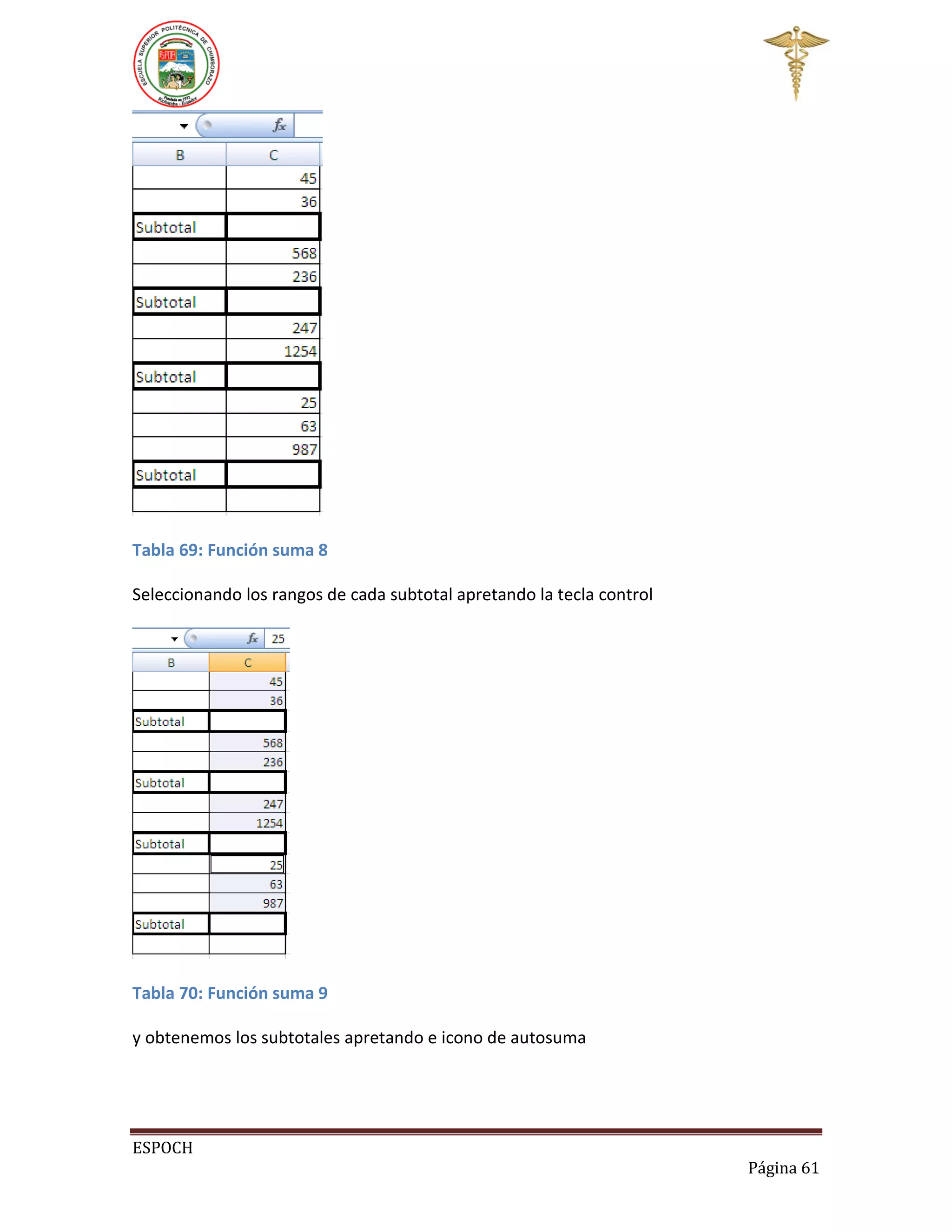 Tabla 69: Función suma 8
Seleccionando los rangos de cada subtotal apretando la tecla control

Tabla 70: Función suma 9
y obtenemos los subtotales apretando e icono de autosuma

ESPOCH
Página 61

 