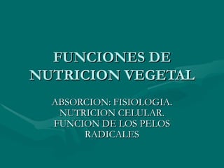 FUNCIONES DE NUTRICION VEGETAL ABSORCION: FISIOLOGIA. NUTRICION CELULAR. FUNCION DE LOS PELOS RADICALES 