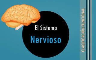 El Sistema
Nervioso
CLASIFICACIÓNFUNCIONAL
 
