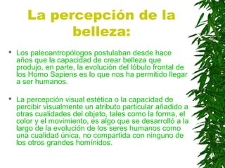 La percepción de la
belleza:
 Los paleoantropólogos postulaban desde hace
años que la capacidad de crear belleza que
produjo, en parte, la evolución del lóbulo frontal de
los Homo Sapiens es lo que nos ha permitido llegar
a ser humanos.
 La percepción visual estética o la capacidad de
percibir visualmente un atributo particular añadido a
otras cualidades del objeto, tales como la forma, el
color y el movimiento, es algo que se desarrolló a la
largo de la evolución de los seres humanos como
una cualidad única, no compartida con ninguno de
los otros grandes homínidos.
 