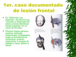 1er. caso documentado
de lesión frontal
 En 1848 hubo una
explosión de pólvora que
incrustó un fragmento de
hierro a través del lóbulo
frontal izquierdo. En un
varón de 25 años.
 Phineas Gages persona
piadosa, tranquila,
responsable y trabajadora
luego se transformó en
irreverente, profano,
impaciente, e incapaz de
trabajar y hacer planes a
futuro.
 