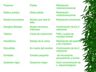 Putamen Piedra Modulación
motora/emocional
Globus palidus Globo pálido Modulación
motora/emocional
Núcleo accumbens Núcleo que está al
lado
Modulación emocional
Ganglios Basales Nudos nerviosos
inferiores
Combinación de los 4
anteriores
Tálamo Cama de matrimonio Filtro, cuadro de
mandos central
Hipotálamo Debajo de la cama Modulación del apetito
y los impulsos
Diencéfalo En medio del cerebro Combinación de los 2
anteriores
Cerebelo Cerebro pequeño de movimiento,
pensamiento y acción
Sustantia nigra Sustancia negra Gran concentración de
c. dopaminérgicas
 