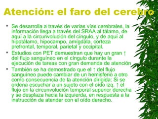 Atención: el faro del cerebro
 Se desarrolla a través de varias vías cerebrales, la
información llega a través del SRAA al tálamo, de
aquí a la circunvolución del cíngulo, y de aquí al
hipotálamo, hipocampo, amígdala, corteza
prefrontal, temporal, parietal y occipital.
 Estudios con PET demuestran que hay un gran ↑
del flujo sanguíneo en el cíngulo durante la
ejecución de tareas con gran demanda de atención
 También se ha demostrado que el ↑ del flujo
sanguíneo puede cambiar de un hemisferio a otro
como consecuencia de la atención dirigida: Si se
ordena escuchar a un sujeto con el oído izq. ↑ el
flujo en la circunvolución temporal superior derecha
y se desplaza hacia la izquierda, en respuesta a la
instrucción de atender con el oído derecho.
 