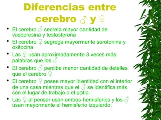 Diferencias entre
cerebro ♂ y ♀
 El cerebro ♂ secreta mayor cantidad de
vasopresina y testosterona
 El cerebro ♀ segrega mayormente serotonina y
oxitocina
 Las ♀ usan aproximadamente 3 veces más
palabras que los ♂
 El cerebro ♂ percibe menor cantidad de detalles
que el cerebro ♀
 El cerebro ♀ posee mayor identidad con el interior
de una casa mientras que el ♂ se identifica más
con el lugar de trabajo o el patio.
 Las ♀ al pensar usan ambos hemisferios y los ♂
usan mayormente el hemisferio izquierdo.
 