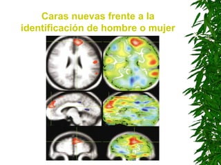 Caras nuevas frente a la
identificación de hombre o mujer
 