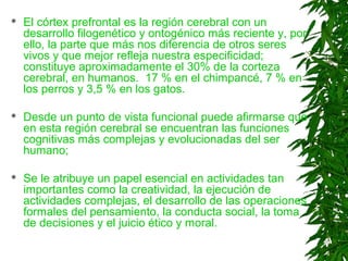  El córtex prefrontal es la región cerebral con un
desarrollo filogenético y ontogénico más reciente y, por
ello, la parte que más nos diferencia de otros seres
vivos y que mejor refleja nuestra especificidad;
constituye aproximadamente el 30% de la corteza
cerebral, en humanos. 17 % en el chimpancé, 7 % en
los perros y 3,5 % en los gatos.
 Desde un punto de vista funcional puede afirmarse que
en esta región cerebral se encuentran las funciones
cognitivas más complejas y evolucionadas del ser
humano;
 Se le atribuye un papel esencial en actividades tan
importantes como la creatividad, la ejecución de
actividades complejas, el desarrollo de las operaciones
formales del pensamiento, la conducta social, la toma
de decisiones y el juicio ético y moral.
 