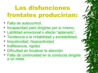 Las disfunciones
frontales producirían:
 Falta de autocontrol,
 Incapacidad para dirigirse por sí mismo,
 Labilidad emocional o afecto “aplanado”,
 Tendencia a la irritabilidad y excitabilidad,
 Impulsividad, hiperactividad
 Indiferencia, rigidez
 Dificultad en focalizar la atención
 Falta de continuidad en la conducta dirigida
a un meta.
 