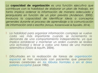  La habilidad para organizar información compleja se vuelve
cada vez más importante cuando se incrementa la
demanda de una comportamiento independiente, ya que
implica establecer y mantener un orden cuando se realiza
una actividad y llevar a cabo una tarea de una manera
sistemática (Gioia & Isquith, 2004).
 Dificultades en la realización de tareas de organización
espacial se han asociado con pacientes que presentan
lesiones cerebrales en los lóbulos frontales o en el área
parieto-occipital (Lezak 1982).
La capacidad de organización es una función ejecutiva que
contribuye con la habilidad de elaborar un plan de trabajo, en
tanto implica ordenar la información de manera adecuada y
jerarquizarla en función de un plan previsto (Anderson, 2002).
Involucra la capacidad de identificar ideas o conceptos
generales durante el proceso de aprendizaje o la comunicación
de información oral o escrita (Arroyo, Korzeniowski & Espósito, 2014).
 