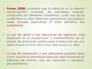  Posner (2008) considera que la atención es un sistema
neurocognitivo complejo, de naturaleza modular,
compuesto por diferentes subsistemas, cada uno de los
cuales lleva a cabo diferentes operaciones asociadas a
redes neurales especificas. El autor identifica tres
subsistemas:
 La red de alerta o red atencional de vigilancia: está
implicada en la consecución y mantenimiento de un
estado de activación optimo para la ejecución de una
tarea (Petersen & Posner, 2012; Posner, 2008; Rueda et al., 2005).
 La red de orientación o red atencional posterior tiene
como función la orientación espacial, seleccionando los
estímulos del entorno que son relevantes y requieren
procesamiento.
 