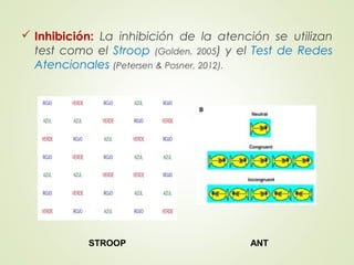  Inhibición: La inhibición de la atención se utilizan
test como el Stroop (Golden, 2005) y el Test de Redes
Atencionales (Petersen & Posner, 2012).
STROOP ANT
 