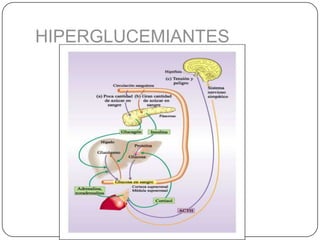 INHIBIDORES DE LA A - GLUCOSIDASAS:Dentro de este grupo se encuentran el miglitol y laacarbosa. El mecanismo de acción fundamental es la inhibición reversible y competitiva de las a - glucosidasas en el borde en cepillo de la mucosa intestinal, produciendo el retraso en la absorción de los hidratos de carbono complejos.Los efectos adversos más frecuentes incluyen mal absorción, flatulencia, meteorismocontraindicaciones para su utilización las enfermedades intestinales crónicas, el embarazo, lactancia, cirrosis hepática, insuficiencia renal con niveles de Creatinina superiores a 2 mg/dl.