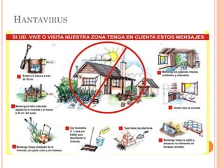 HANTAVIRUS
 