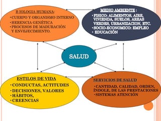 B IOLOGIA HUMANA:
•CUERPO Y ORGANISMO INTERNO
•HERENCIA GENÉTICA
•PROCESOS DE MADURACIÓN
 Y ENVEJECIMIENTO.




   ESTILOS...