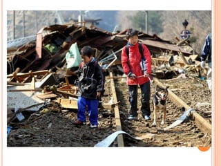 Funciones esenciales de la salud publica