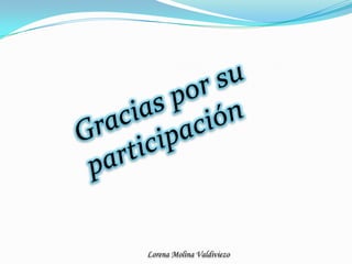 Gracias por su participación