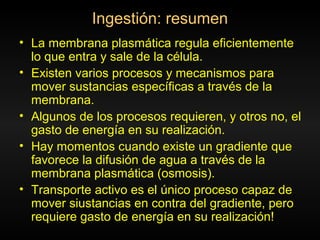 Ingestión: resumen
• La membrana plasmática regula eficientemente
lo que entra y sale de la célula.
• Existen varios procesos y mecanismos para
mover sustancias específicas a través de la
membrana.
• Algunos de los procesos requieren, y otros no, el
gasto de energía en su realización.
• Hay momentos cuando existe un gradiente que
favorece la difusión de agua a través de la
membrana plasmática (osmosis).
• Transporte activo es el único proceso capaz de
mover siustancias en contra del gradiente, pero
requiere gasto de energía en su realización!
 