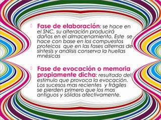  Fase de elaboración: se hace en
el SNC, su alteración producirá
daños en el almacenamiento. Este se
hace con base en los compuestos
proteicos que en las fases alternas de
síntesis y análisis conserva la huellas
mnésicas
 Fase de evocación o memoria
propiamente dicha: resultado del
estimulo que provoca la evocación.
Los sucesos mas recientes y frágiles
se pierden primero que los mas
antiguos y sólidos afectivamente.
 
