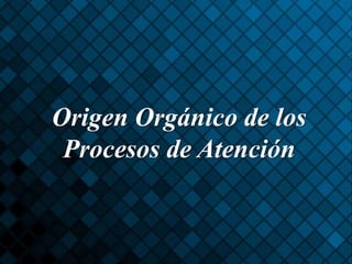 Origen Orgánico de los
Procesos de Atención
 