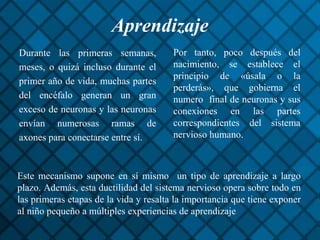 Aprendizaje
Durante las primeras semanas,
meses, o quizá incluso durante el
primer año de vida, muchas partes
del encéfalo generan un gran
exceso de neuronas y las neuronas
envían numerosas ramas de
axones para conectarse entre sí.
Por tanto, poco después del
nacimiento, se establece el
principio de «úsala o la
perderás», que gobierna el
numero final de neuronas y sus
conexiones en las partes
correspondientes del sistema
nervioso humano.
Este mecanismo supone en sí mismo un tipo de aprendizaje a largo
plazo. Además, esta ductilidad del sistema nervioso opera sobre todo en
las primeras etapas de la vida y resalta la importancia que tiene exponer
al niño pequeño a múltiples experiencias de aprendizaje
 