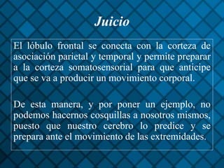 Juicio
El lóbulo frontal se conecta con la corteza de
asociación parietal y temporal y permite preparar
a la corteza somatosensorial para que anticipe
que se va a producir un movimiento corporal.
De esta manera, y por poner un ejemplo, no
podemos hacernos cosquillas a nosotros mismos,
puesto que nuestro cerebro lo predice y se
prepara ante el movimiento de las extremidades.
 