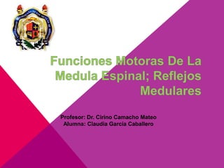 Profesor: Dr. Cirino Camacho Mateo
 Alumna: Claudia García Caballero
 