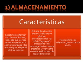 Características
Los alimentos forman
círculos concéntricos,
haciendo que los más
recientes queden en la
apertura esofágica y los
más antiguos a la pared
gástrica externa.
Entrada de alimentos
provoca la distención
gástrica,
desencadenando “El
reflejoVagovagal”,
empezando en el
estomago hacia el tronco
encefálico y vuelve otra
ves reduciendo el tono de
la pared muscular.
Tiene un límite de
relajación gástrica de 0,8
a 1,5 L.
 