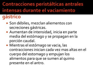  Son débiles, mezclan aliementos con
secreciones gástricas.
 Aumentan de intensidad, inicia en parte
media del estómago y se propagan en la
porción caudal.
 Mientras el estómago se vacia, las
contracciones inician cada vez mas altas en el
cuerpo del estomago y empujan los
alimentos para que se sumen al quimo
presente en el antro.
 