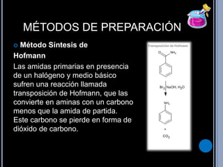 MÉTODOS DE PREPARACIÓN 
 Método Síntesis de 
Hofmann 
Las amidas primarias en presencia 
de un halógeno y medio básico 
sufren una reacción llamada 
transposición de Hofmann, que las 
convierte en aminas con un carbono 
menos que la amida de partida. 
Este carbono se pierde en forma de 
dióxido de carbono. 
 