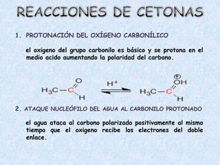 1. PROTONACIÓN DEL OXÍGENO CARBONÍLICO

  el oxigeno del grupo carbonilo es básico y se protona en el
  medio acido aumentando la polaridad del carbono.




2. ATAQUE NUCLEÓFILO DEL AGUA AL CARBONILO PROTONADO

  el agua ataca al carbono polarizado positivamente al mismo
  tiempo que el oxigeno recibe los electrones del doble
  enlace.
 