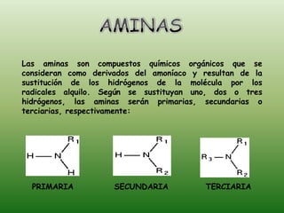 Las aminas son compuestos químicos orgánicos que se
consideran como derivados del amoníaco y resultan de la
sustitución de los hidrógenos de la molécula por los
radicales alquilo. Según se sustituyan uno, dos o tres
hidrógenos, las aminas serán primarias, secundarias o
terciarias, respectivamente:




  PRIMARIA           SECUNDARIA           TERCIARIA
 