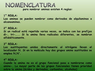 para nombrar aminas existen 4 reglas:

1° REGLA:
Las aminas se pueden nombrar como derivados de alquilaminas o
alcanoaminas.

2° REGLA:
Si un radical está repetido varias veces, se indica con los prefijos
di-, tri-,... Si la amina lleva radicales diferentes, se nombran
alfabéticamente.

3° REGLA:
Los sustituyentes unidos directamente al nitrógeno llevan el
localizador N. Si en la molécula hay dos grupos amino sustituidos se
emplea N,N'.

4° REGLA:
Cuando la amina no es el grupo funcional pasa a nombrarse como
amino-. La mayor parte de los grupos funcionales tienen prioridad
sobre la amina (ácidos y derivados, carbonilos, alcoholes)
 