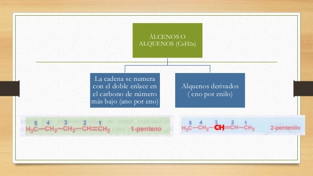 Funciones organicas (1)
