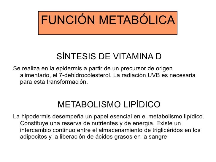 Albert Einstein en frank suarez metabolismo