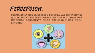 PERCEPCIÓN.
FORMA EN LA QUE EL CEREBRO DETECTA LAS SENSACIONES
QUE RECIBE A TRAVÉS DE LOS SENTIDOS PARA FORMAR UNA
IMPRESIÓN CONSCIENTE DE LA REALIDAD FÍSICA DE SU
ENTORNO.
 