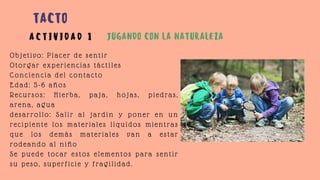 Objetivo: Placer de sentir
Otorgar experiencias táctiles
Conciencia del contacto
Edad: 5-6 años
Recursos: Hierba, paja, hojas, piedras,
arena, agua
desarrollo: Salir al jardin y poner en un
recipiente los materiales líquidos mientras
que los demás materiales van a estar
rodeando al niño
Se puede tocar estos elementos para sentir
su peso, superficie y fragilidad.
A C T I V I D A D 1 JUGANDO CON LA NATURALEZA
TACTO
 