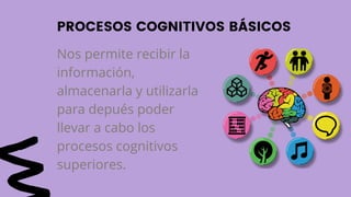 Nos permite recibir la
información,
almacenarla y utilizarla
para depués poder
llevar a cabo los
procesos cognitivos
superiores.
PROCESOS COGNITIVOS BÁSICOS
 