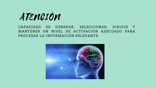 ATENCIÓN
CAPACIDAD DE GENERAR, SELECCIONAR, DIRIGIR Y
MANTENER UN NIVEL DE ACTIVACIÓN ADECUADO PARA
PROCESAR LA INFORMACIÓN RELEVANTE.
 