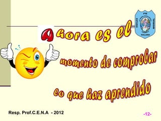 Resp. Prof.C.E.N.A - 2012   -12-
 