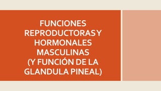 FUNCIONES
REPRODUCTORASY
HORMONALES
MASCULINAS
(Y FUNCIÓN DE LA
GLANDULA PINEAL)
 