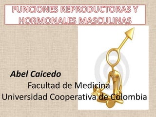 FUNCIONES REPRODUCTORAS Y HORMONALES MASCULINAS Abel Caicedo             Facultad de Medicina Universidad Cooperativa de Colombia 